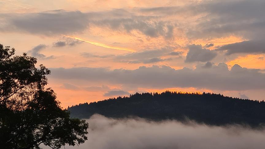 Der ersehnte Regen ist da, auch in Julbach. (Helga Grimps)