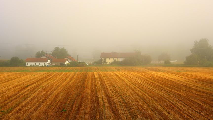 Abgeerntet: Die Ernte ist vollbracht, hier neben den Inn-Damm bei Braunau. (Reinhard Weigel)