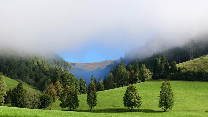 Herbstnebel in Zell an See (Maria Harlander)