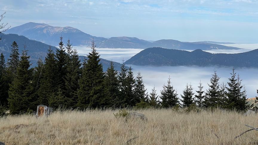 © Martin Löbl Blick vom Wechsel über das Nebelmeer zum Schneeberg. (Martin Löbl)