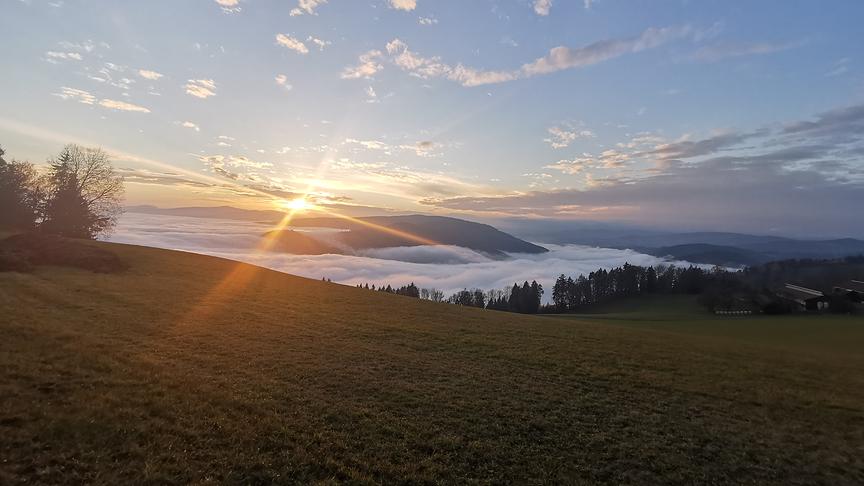 © Alexander Schlintl Blick vom Scheurer ins Krappfeld. (Alexander Schlintl)