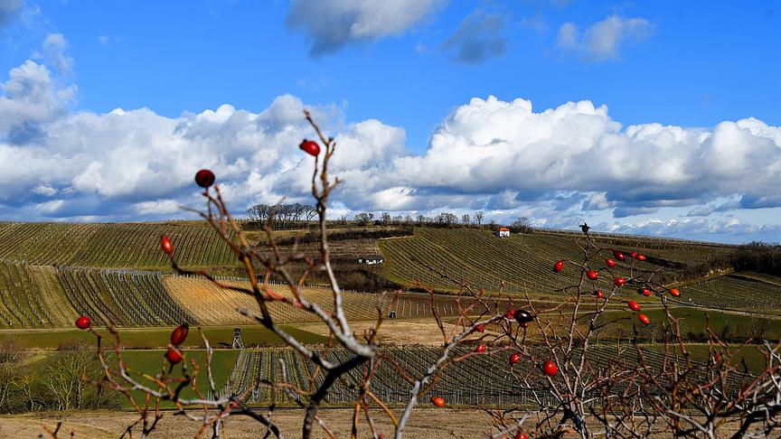 Wolkenspiel am Faschingsdienstag. (Hermann Sauer)