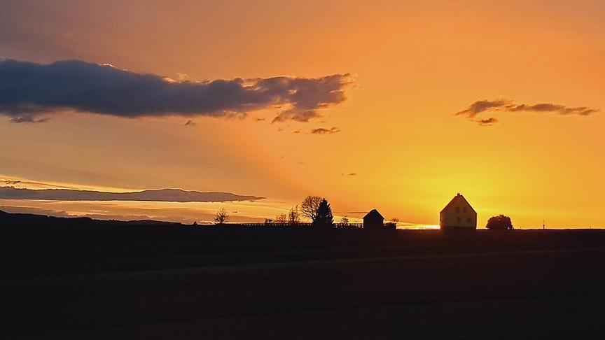 © Elisabeth di Giusto Auch wenn es tagsüber im Waldviertel durch den Saharastaub sehr trüb war, wird man abends mit fantastischen und eindrucksvollen Sonnenuntergängen belohnt. (Elisabeth di Giusto)