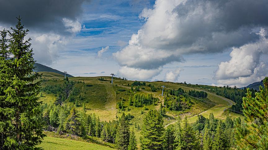 © Renate Stigler Bei der Schafalmwanderung entstanden. Die Aufnahme war kurz vor dem Gewitter. (Renate Stigler)