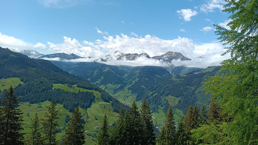© Petra Danner Natur - Ausblick von den Bergen. (Petra Danner)