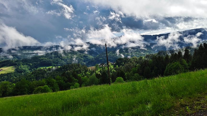 Nebel über hügeliger, grüner Landschaft.