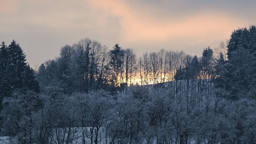 © Friedbert Mayer Sonnenaufgang über den Kölbl. Blickrichtung Puch nach Villach. (Friedbert Mayer)