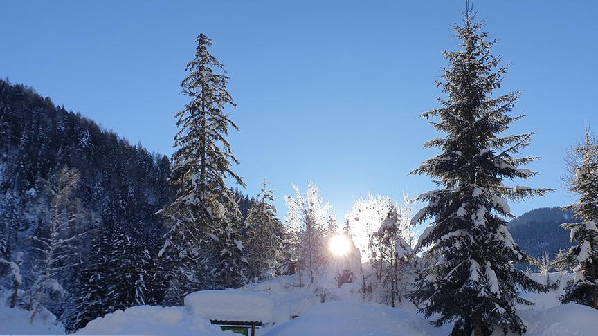 © Franz Wieser Winterlandschaft in Stockenboi mit Sonne im Gegenlicht (Franz Wieser)
