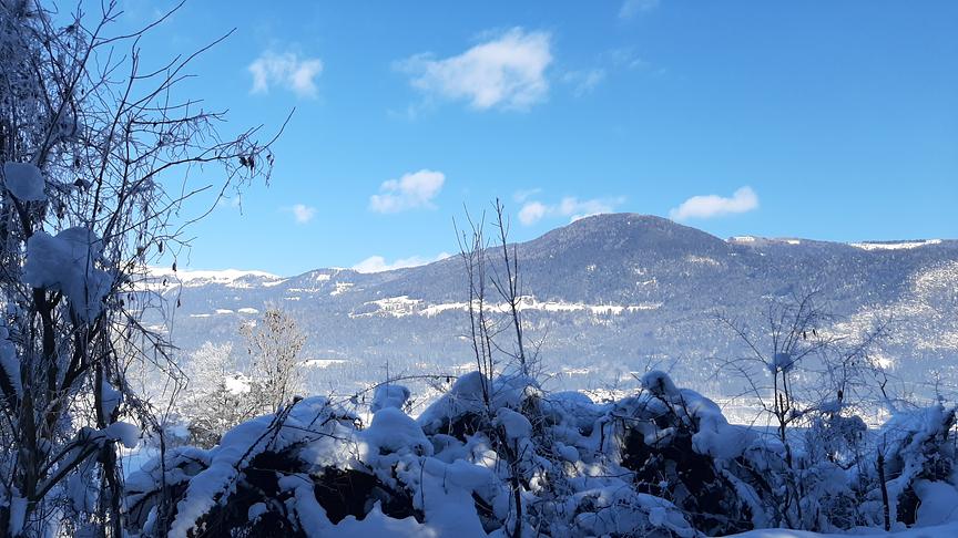 © Aziza Medjić Terzimehić Landschaft in Feffernitz, Feistritz an der Drau (Aziza Medjić Terzimehić)