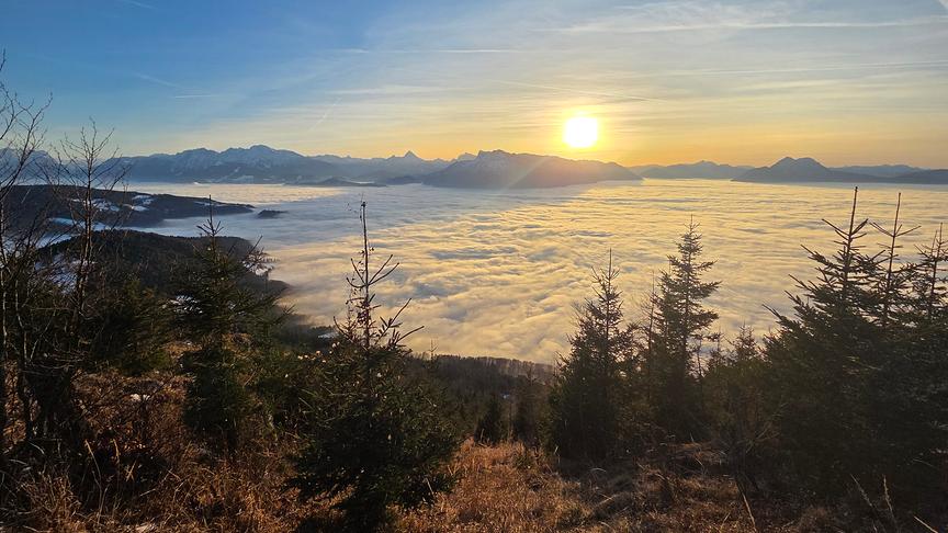 Vom Berg blickt man herab auf eine Nebeldecke im Tal über der die tiefstehende Sonne über den Bergen steht.