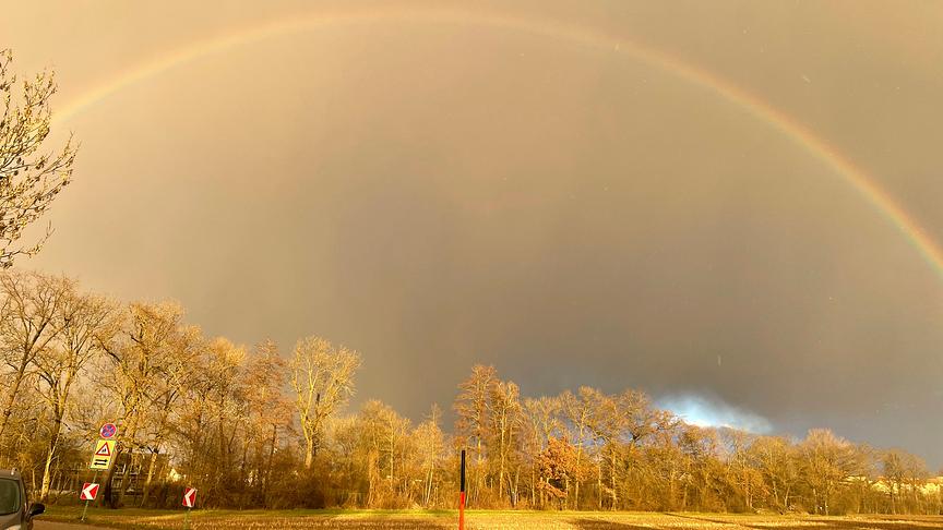 Regenboden in milchiger, grauer Himmelstimmung und im Abendlicht