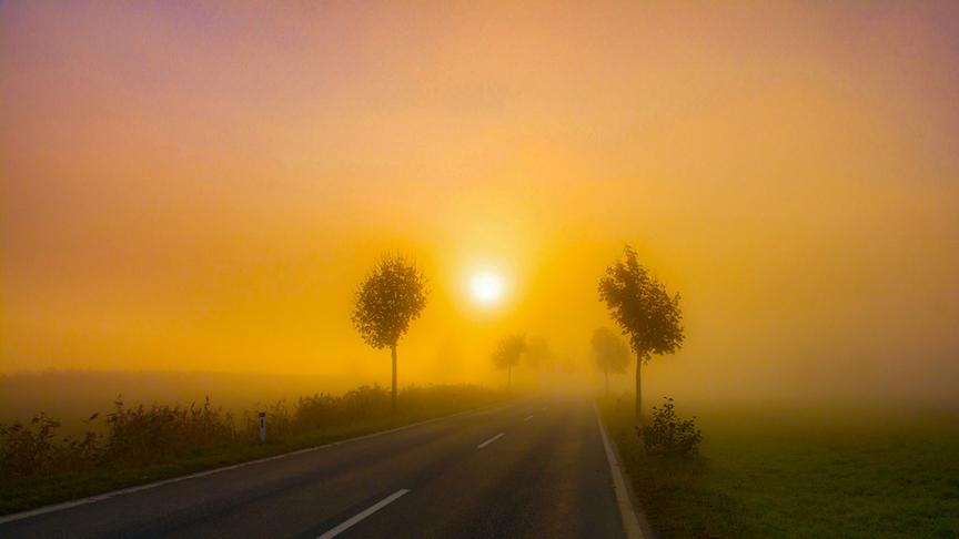 © Peter Lumpe Landstrasse mit untergehnender Sonne und Nebel (Peter Lumpe)