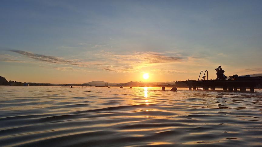 © Anton Wintersteller Schon zum Sonnenaufgang tummeln sich hier die Schwimmer/innen am Wallersee. (Anton Wintersteller)