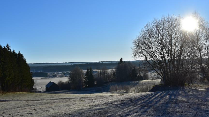 Über die vereiste Landschaft mit Wiese und Bäumen strahlt ein blauer Himmel mit Sonne hinweg.