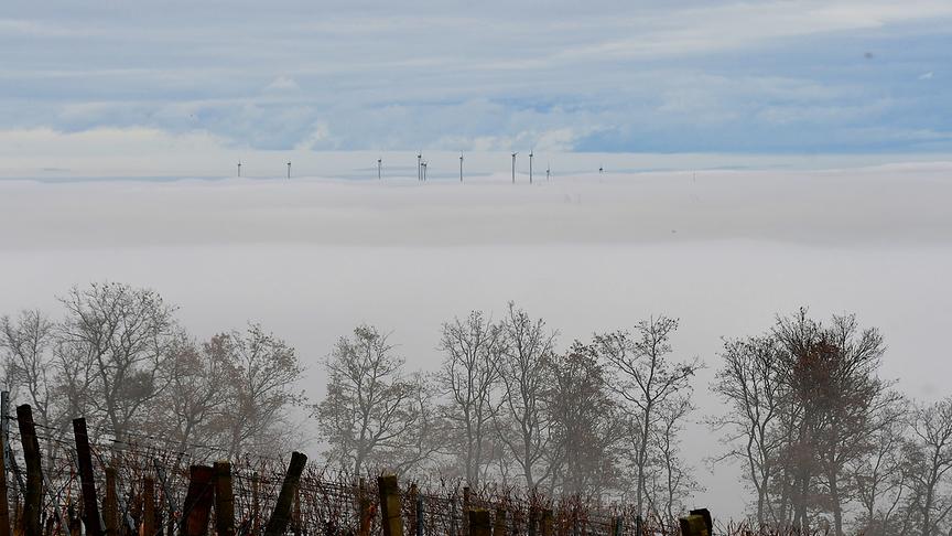Aus der geschlossenen, weißen Nebendecke ragen nur die Windräder heraus.