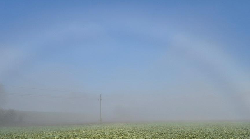 Nebelbogen ohne Farbe über einer Wiese.