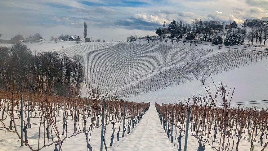 © Siegfried Schlager Weitsicht Neuschnee im Raum Gamlitz. (Siegfried Schlager)