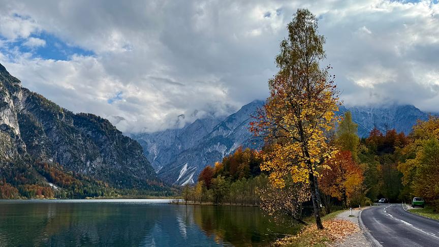 © Elisabeth Eisner Wunderschöne Herbststimmung am Almsee in Grünau (Elisabeth Eisner)