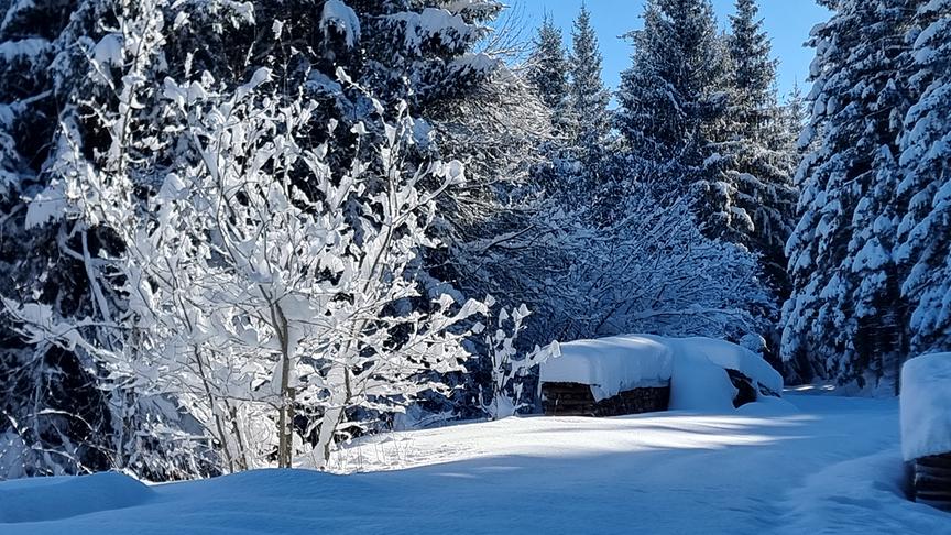 Winterzauber pur. (Georg Ackerer)