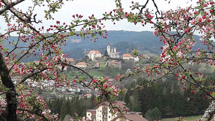 © Elisabeth Puck Blühende Altstadt Althofen vom Ausblick Kurzentrum. (Elisabeth Puck)
