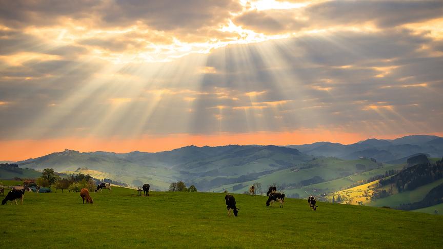 © Gerlinde Ainhirn Ein bisschen kommt die Sonne durch im Mostviertel. (Gerlinde Ainhirn)