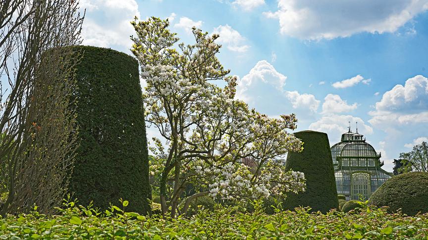 Blühender Baum und akurat geschnittene Buchsbäume vor einem gläsernen Gebäude bei schönem Wetter.
