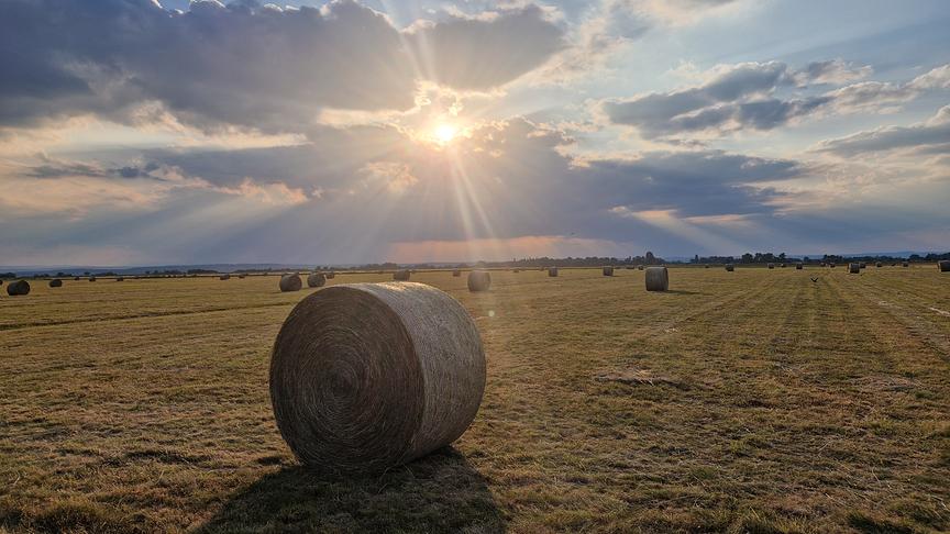 Burgenland. (Stefanie Gartner)