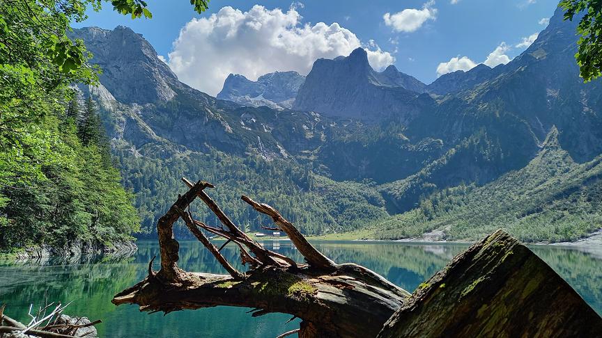 © Georg Rieger Hinterer Gosausee mit blick auf den Dachstein. Im Hintergrund die Hohe Holzmeisteralm (1164 m ü. A.). (Georg Rieger)