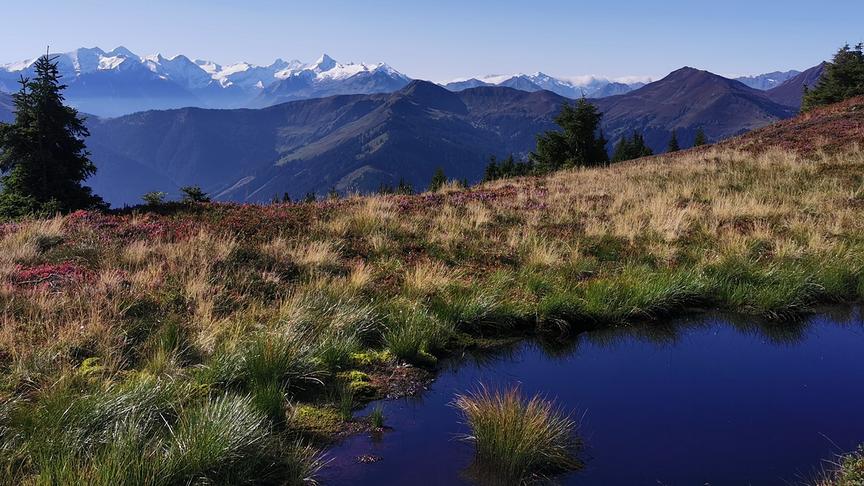 © Georg Ackerer Am Saalachtaler Höhenweg mit Blick zum Großvenediger. (Georg Ackerer)