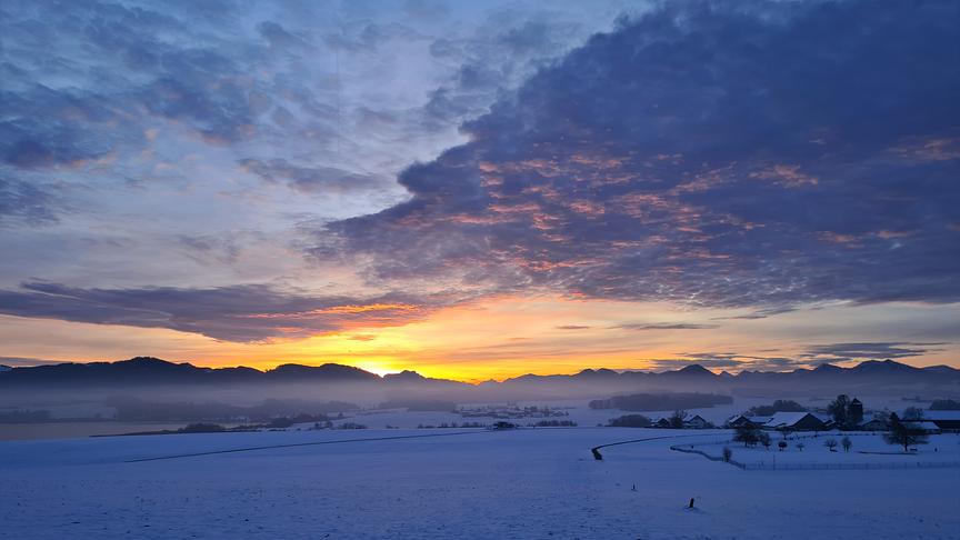© Doris Stemeseder Eine wunderbare Morgenstimmung. So kann der Tag starten in Seekirchen am Wallersee. (Doris Stemeseder)