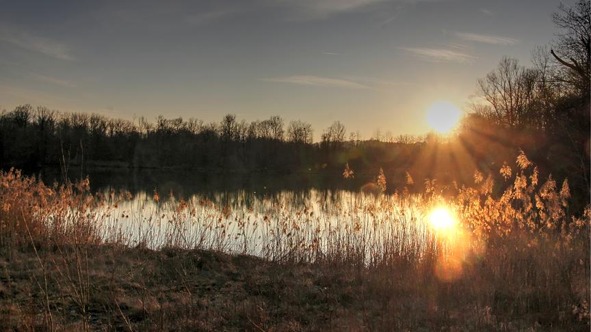 © Emma Sommeregger Gestern konnte ich im Naturschutzgebiet "Weitwörter Au" / Nussdorf a. Haunsberg diesen stimmungsvollen Sonnenuntergang fotografieren. (Emma Sommeregger)