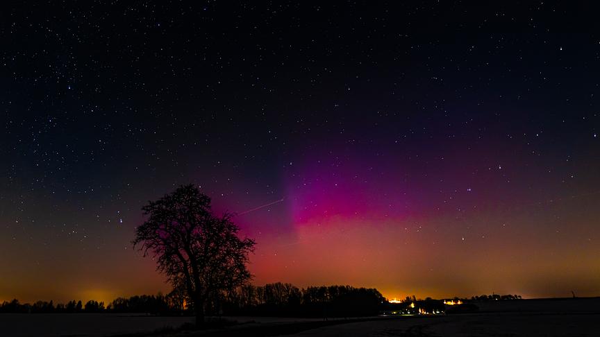 Rötliche Polarlichter und Sternenhimmel über den Schemen der Bäume