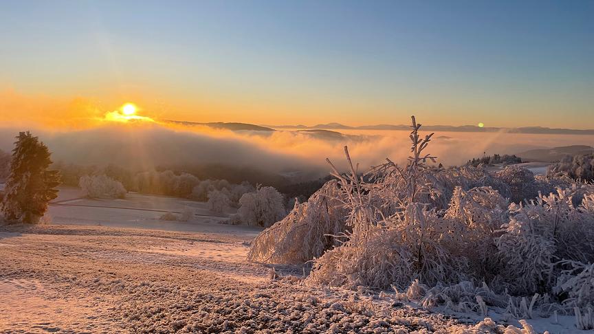 Die Sonne steigt über Nebel auf und taucht die schneeweißte, vereiste Landschaft in warmes Licht.
