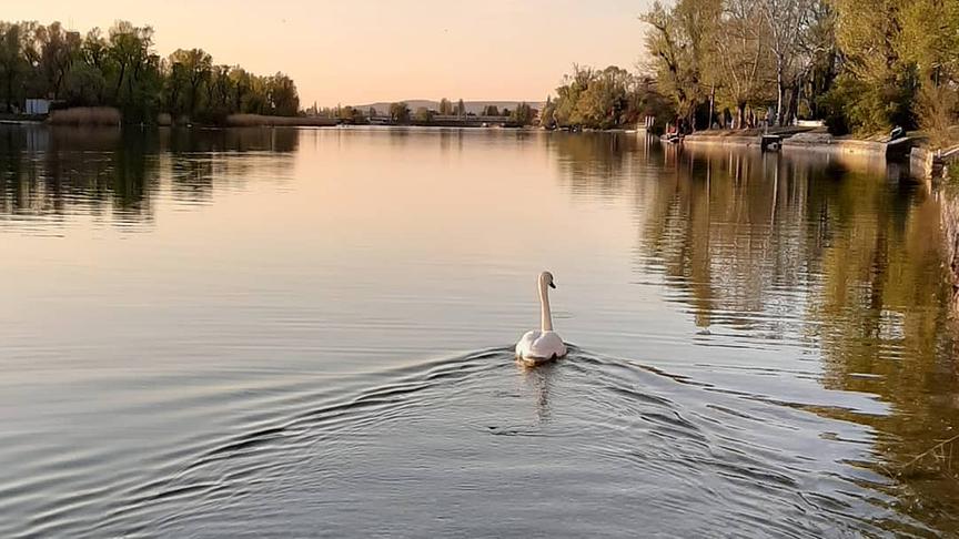 © Karla Heigl Unsere Alte Donau, Wien in voller Pracht. (Karla Heigl)