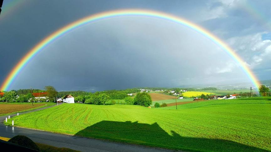 © Renate Seiser Der Blick aus unserem Fenster im Mühlviertel, OÖ. (Renate Seiser)
