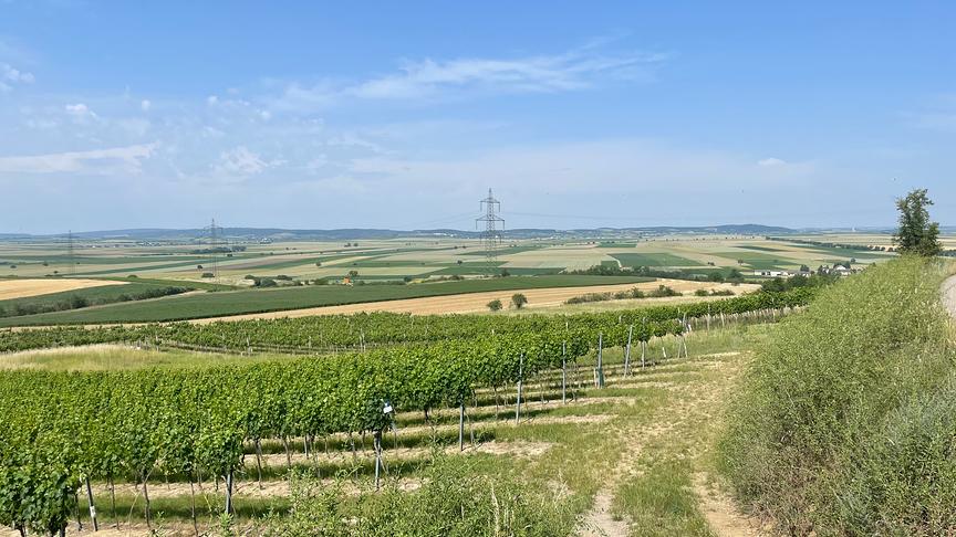 © Josef Mann Ein sommerlicher Tag im Weinviertel. (Josef Mann)