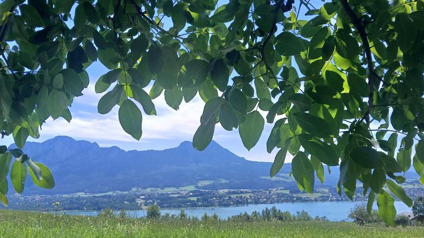 Schattenplatzerl überm Mondsee (Christa Katharina Dallinger)