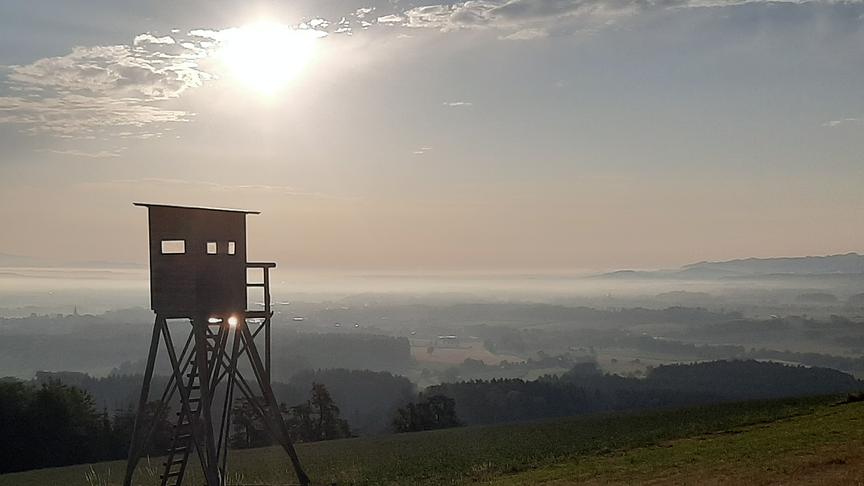 Von oben fotografiertes nebeliges Tal über dem die Sonne steht. Im Vordergrund eine Wiese mit Hochsitz.