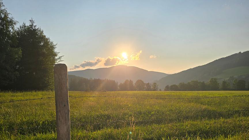 Wiese Bäume und Hügel über denen die Sonne mit wenigen Wolken tiefsteht und die Landschaft in warmes Licht hüllt.