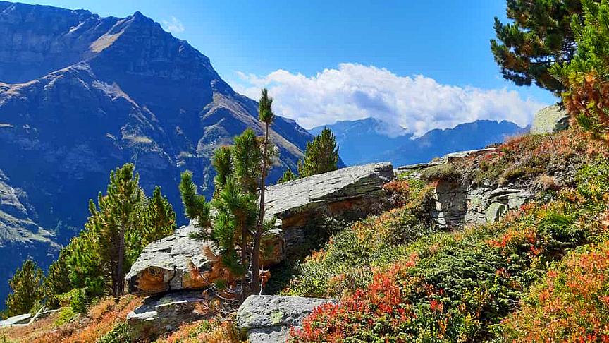 © Graessl Bernhard Wunderschöne Wanderung ins Zirknitztal bei Heiligenblut. Schon richtige Herbststimmung und wunderbare Farben. (Bernhard Graessl)