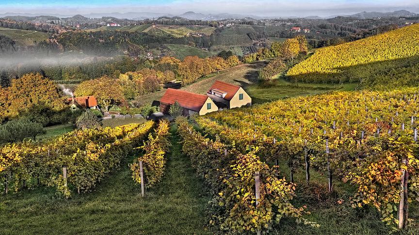 © Peter Grill Der Herbst in seinen schönsten Farben. Steirische Weinstraße bei Gamlitz. (Peter Grill)