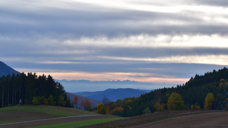 © Renate Neuwirth Abendliche Herbsttimmung im Waldviertel mit Blick auf die Kalkalpen. (Renate Neuwirth)