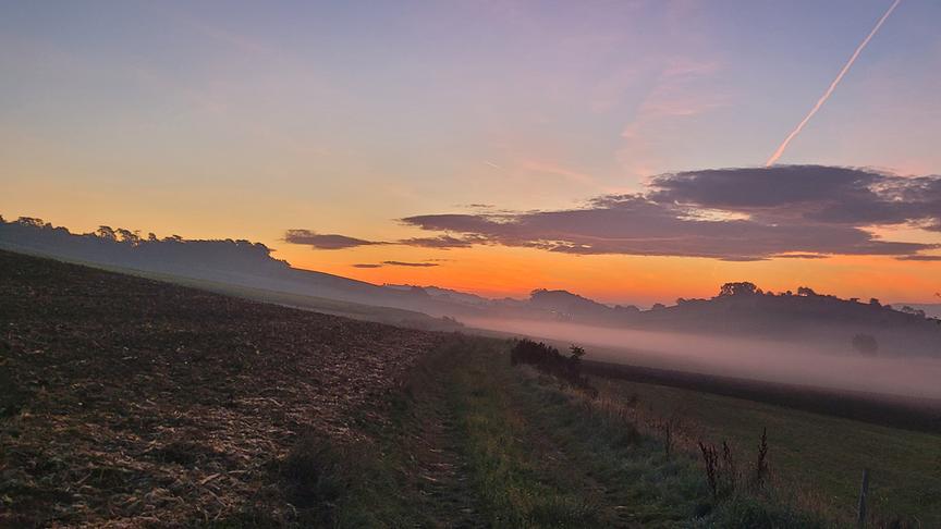 Sonnenaufgang in Würmla. (Gerald Schweiger)