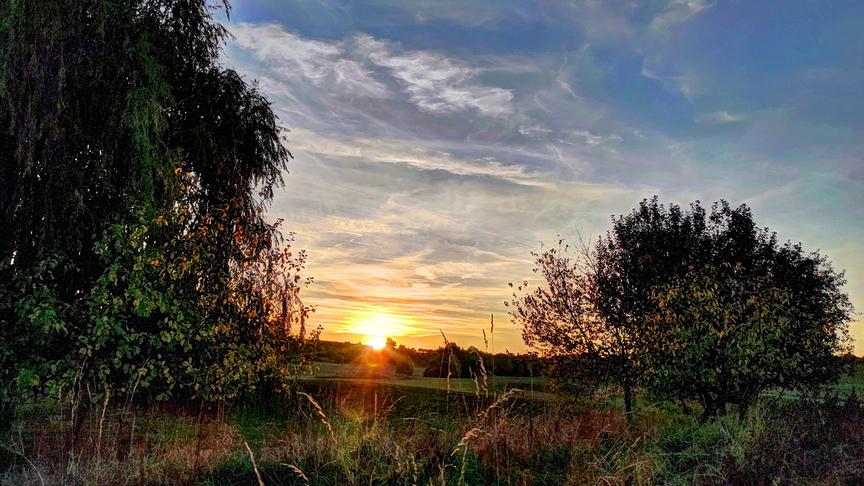 Stimmungsvoller Sonnenuntergang bei Poysdorf. (Gerti Portisch)
