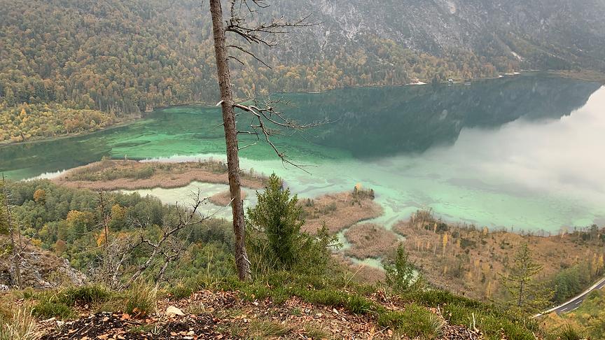 Almsee vom Ameisstein. (Pichler Christine)