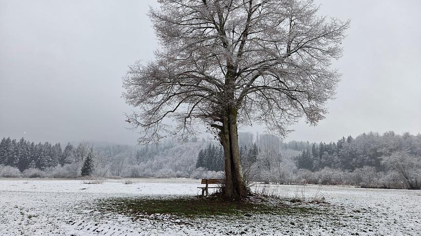 Schloss Glanegg Rundweg (Karl Pointner)