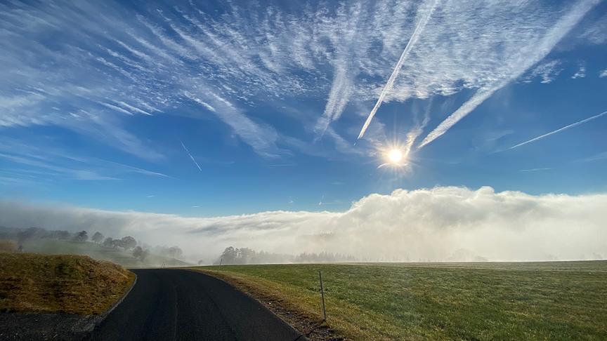 © Theres Scherz Von Burg-Vöstenhof auf dem Weg nach Sieding! Schnappschuss einen Tag vor dem Lockdown, doch noch ein kleiner Lichtblick in der momentanen Zeit. Solche Dinge muss man einfach schätzen und genießen! (Theres Scherz)