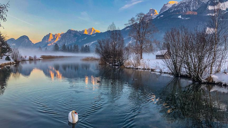 © Siegfried Schlager Sonnenuntergang am Schwanensee in Admont. (Siegfried Schlager)