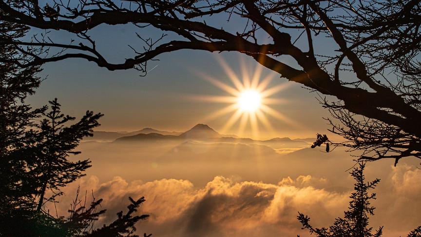 © Nina Ebner Sonnenuntergang über dem Nebelmeer beim Ötscher. (Nina Ebner)