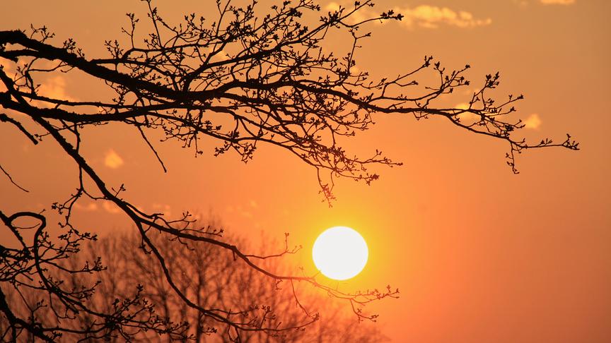 © Emma Sommeregger Heute konnte man bei uns in Eugendorf / Flachgau wieder einmal einen traumhaft schönen Sonnenuntergang bewundern. (Emma Sommeregger)